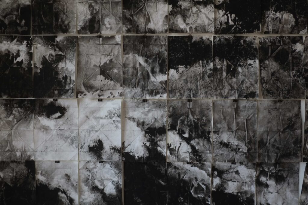 2018-2019_détail1_léger Emmanuel Wüthrich