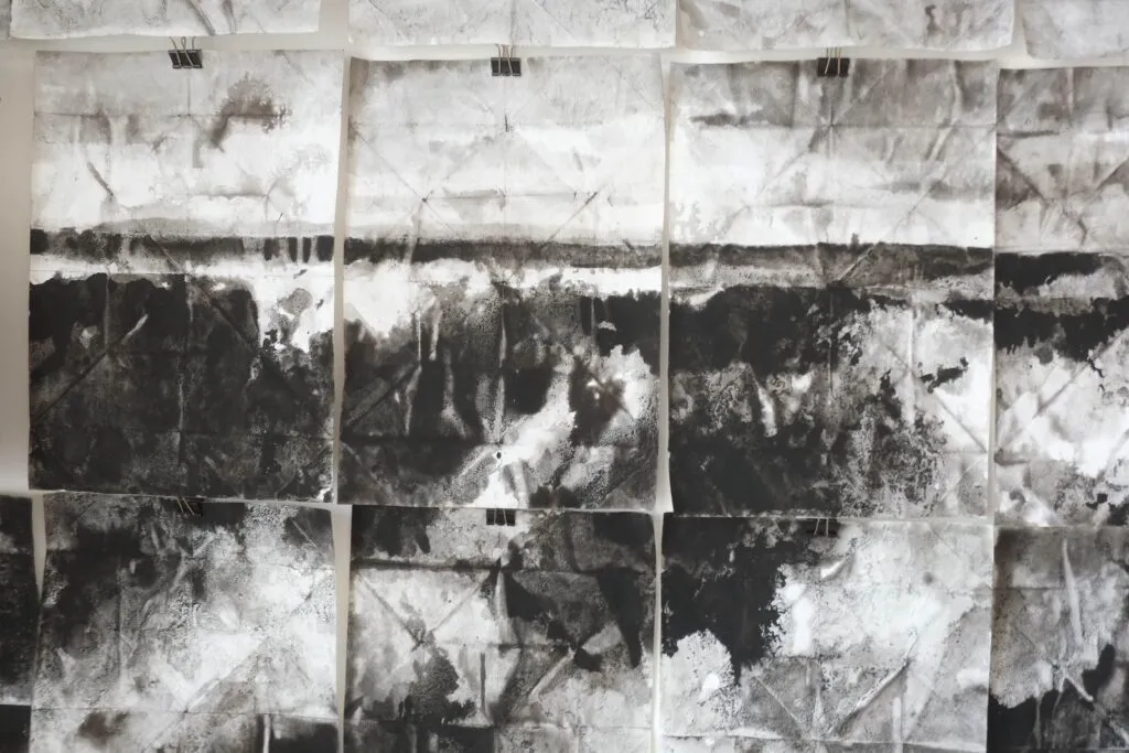2018-2019_détail2_léger Emmanuel Wüthrich