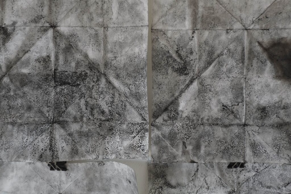 2018-2019_détail3_léger Emmanuel Wüthrich