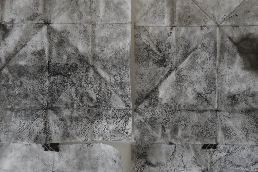 2018-2019_détail3_léger Emmanuel Wüthrich