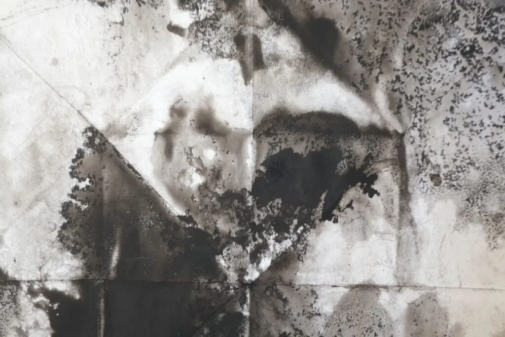 2018-2019_détail4_léger Emmanuel Wüthrich