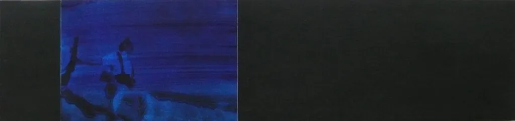25 Ex Voto Xxv Cyanotypes Emmanuel Wuthrich Mars 2009 Exposition A La Nef Le Noirmont