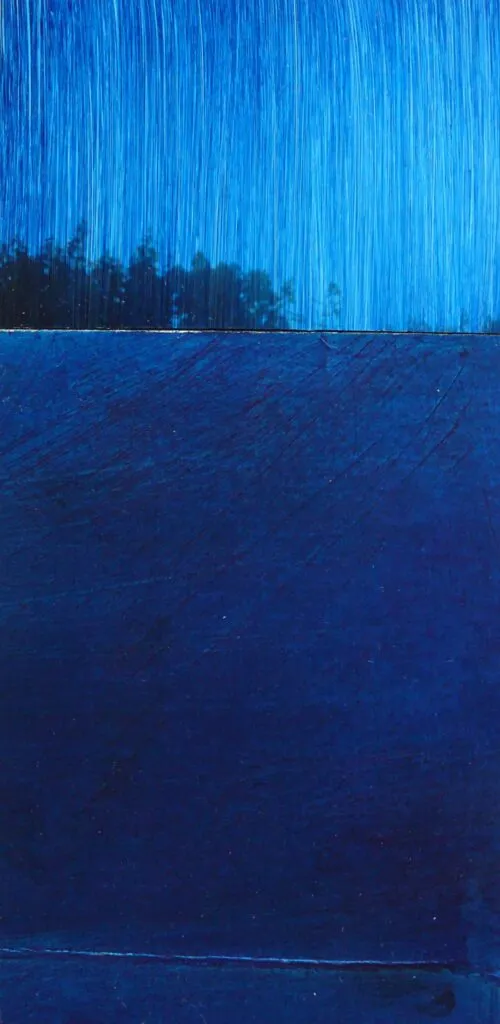 27 Ex Voto Xxvii Cyanotypes Emmanuel Wuthrich Mars 2009 Exposition A La Nef Le Noirmont