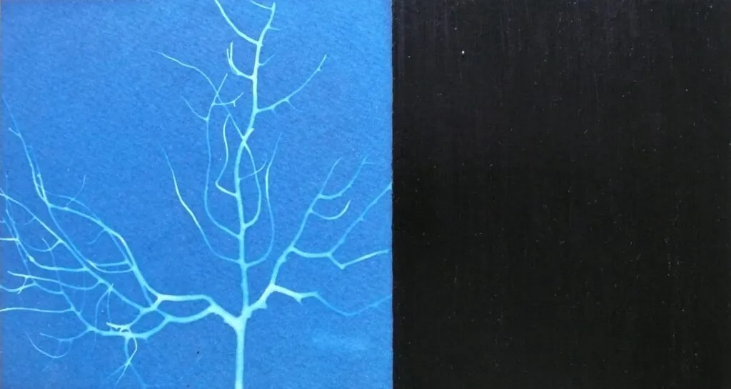 29 Ex Voto Xix Cyanotypes Emmanuel Wuthrich Mars 2009 Exposition A La Nef Le Noirmont