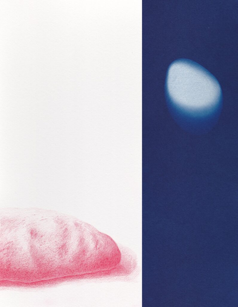 Jurassica3 Dessins Et Cyanotypes Emmanuel Wuthrich Aout 2014