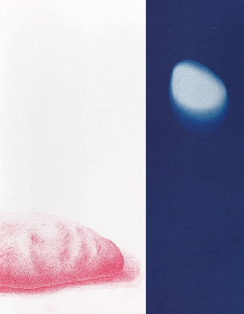 Jurassica3 Dessins Et Cyanotypes Emmanuel Wuthrich Aout 2014