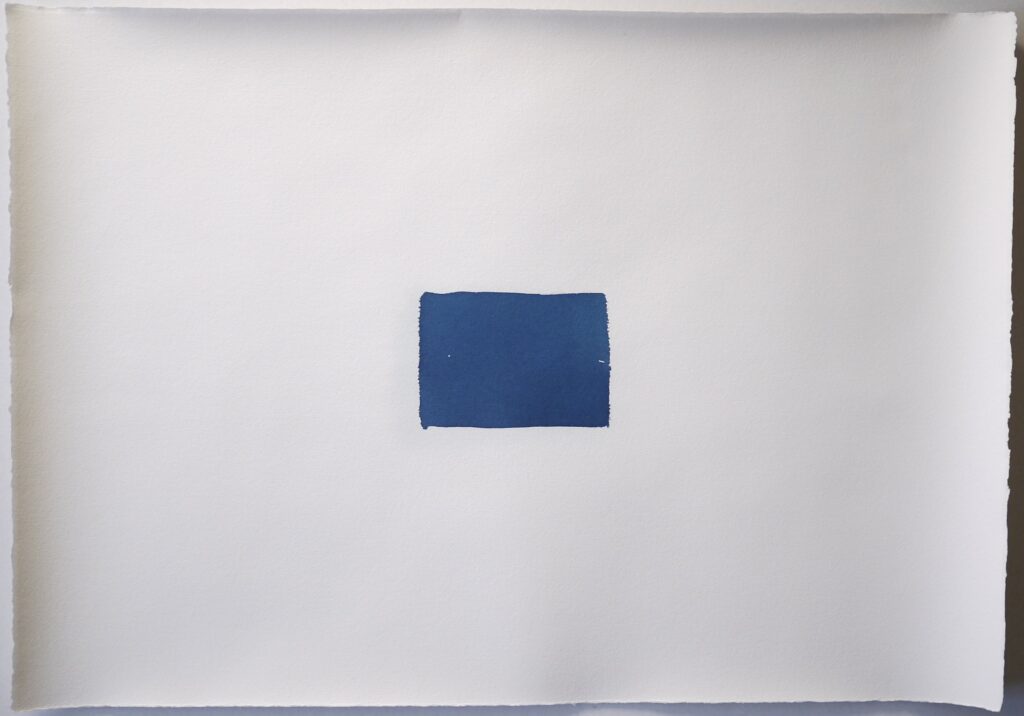 Memoire 1000562 Cyanotypes Emmanuel Wuthrich Novembre 2010