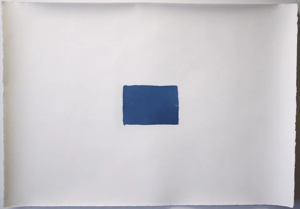 Memoire 1000562 Cyanotypes Emmanuel Wuthrich Novembre 2010