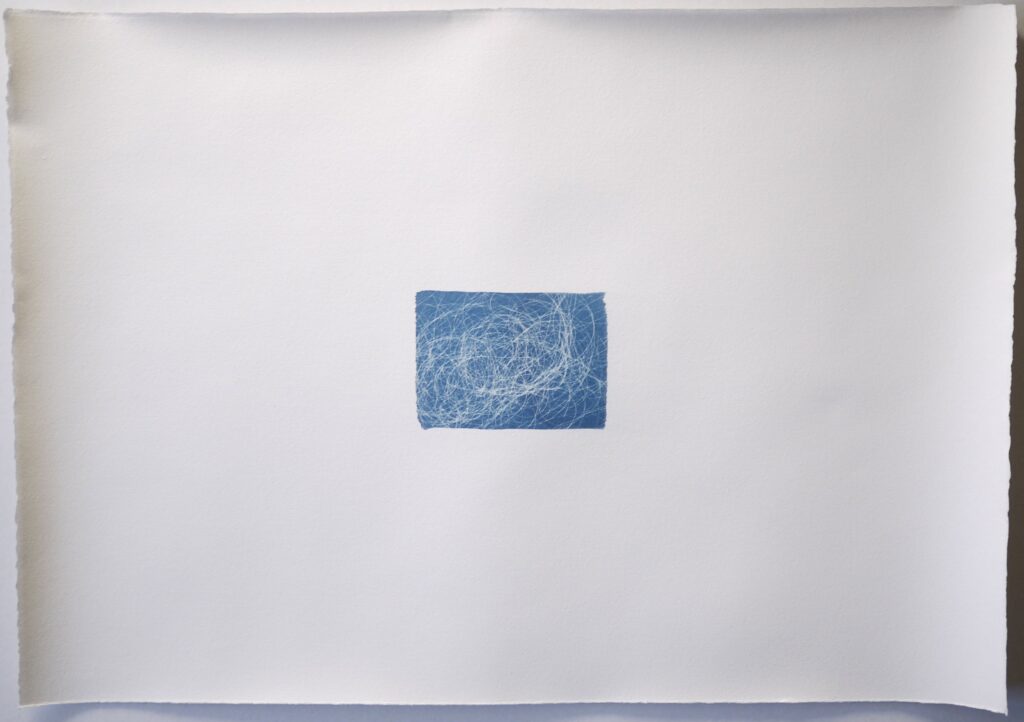 Memoire 1000563 Cyanotypes Emmanuel Wuthrich Novembre 2010