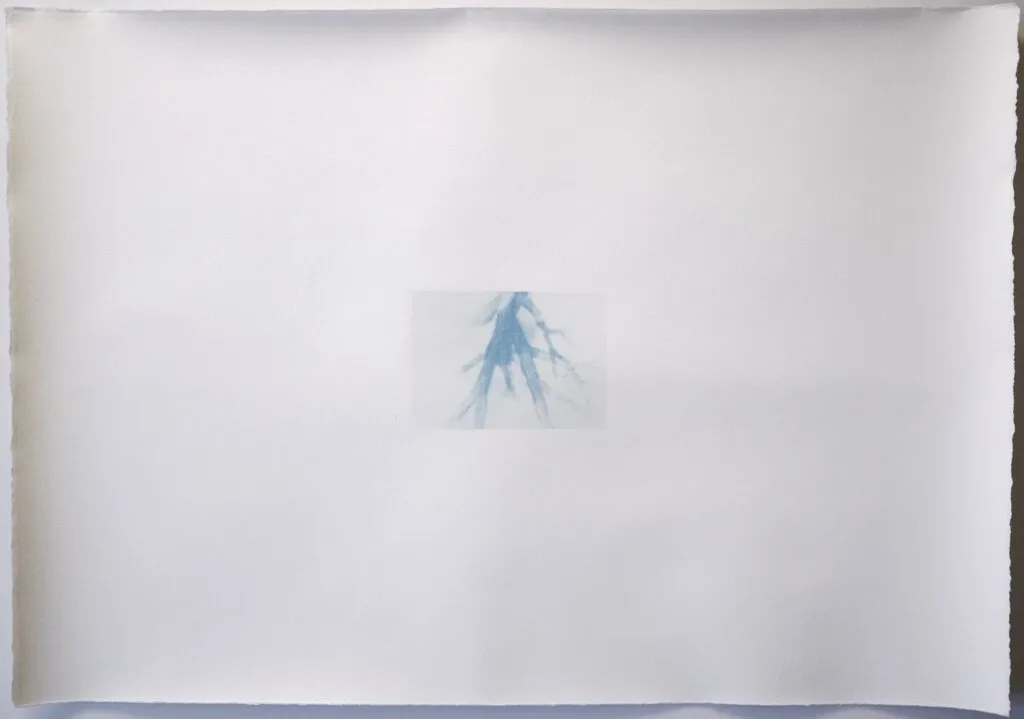 Memoire 1000564 Cyanotypes Emmanuel Wuthrich Novembre 2010
