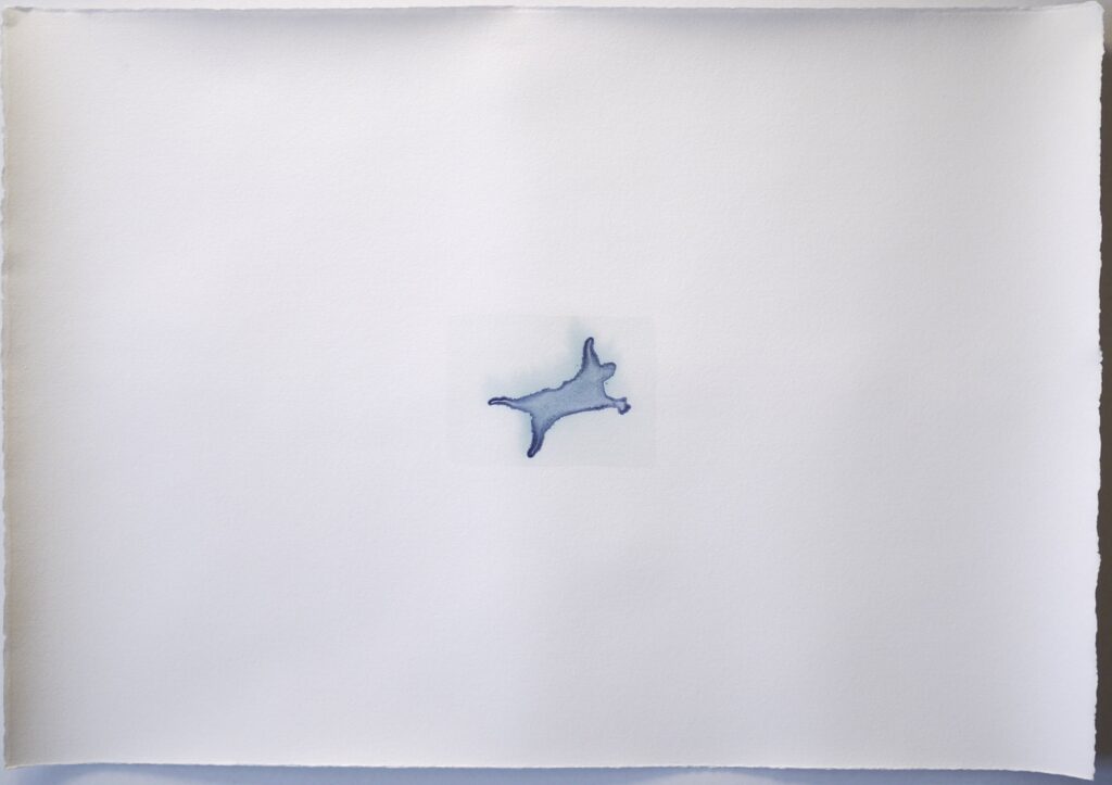 Memoire 1000565 Cyanotypes Emmanuel Wuthrich Novembre 2010