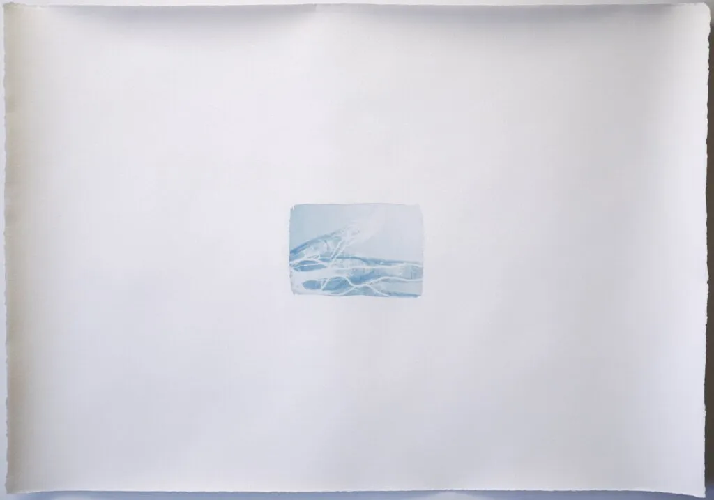 Memoire 1000566 Cyanotypes Emmanuel Wuthrich Novembre 2010