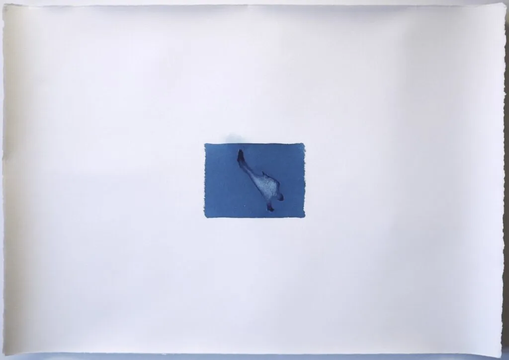 Memoire 1000571 Cyanotypes Emmanuel Wuthrich Novembre 2010
