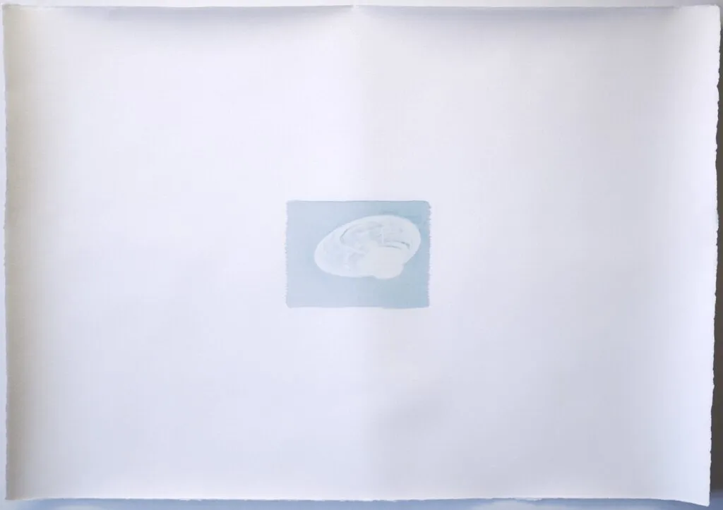 Memoire 1000573 Cyanotypes Emmanuel Wuthrich Novembre 2010
