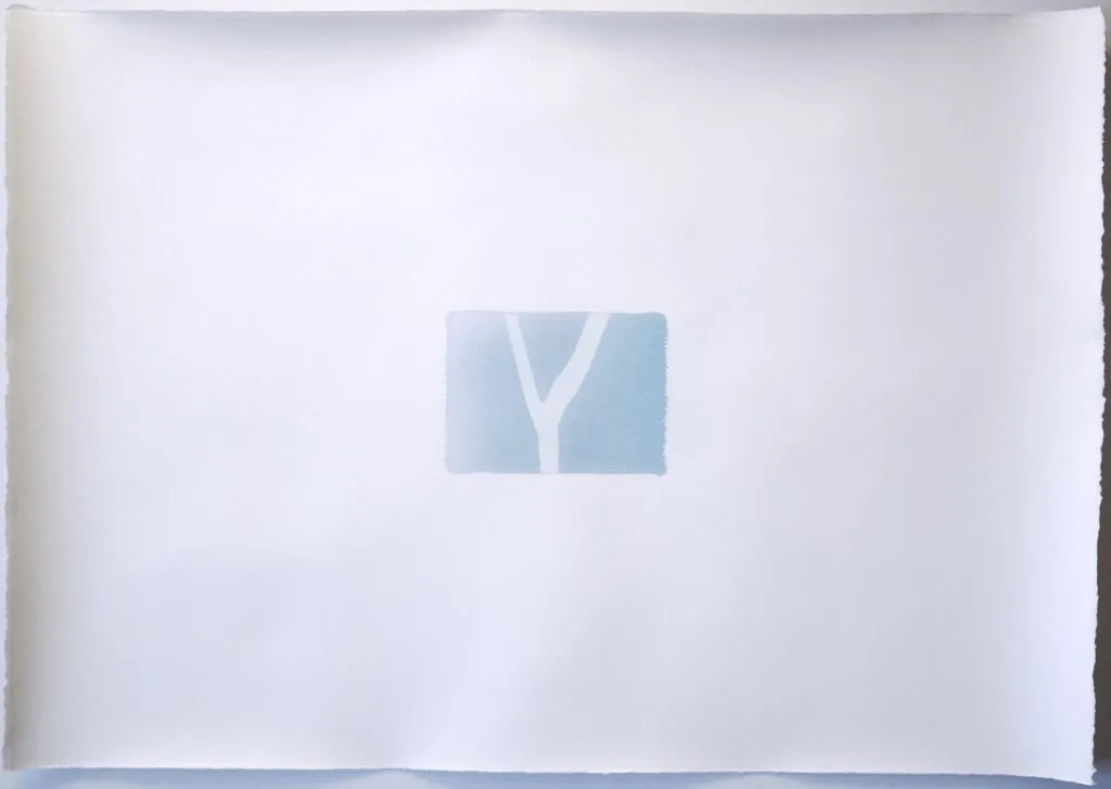 Memoire 1000574 Cyanotypes Emmanuel Wuthrich Novembre 2010