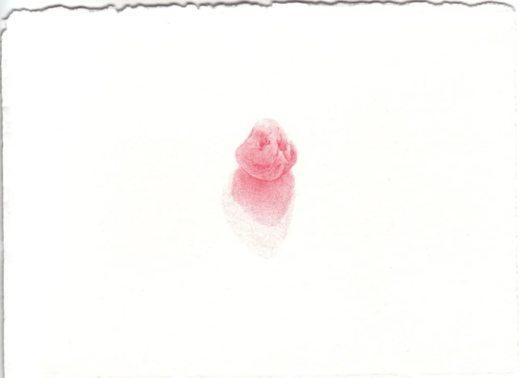 Passer 2 Caillou9 Emmanuel Wuthrich Aout 2012