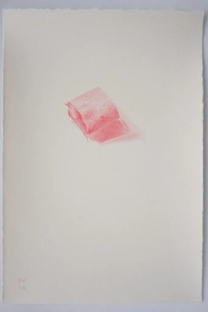 18_plastique2 Emmanuel Wüthrich