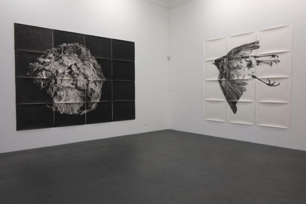 2015_cometerougegorgeinterlaken Emmanuel Wüthrich