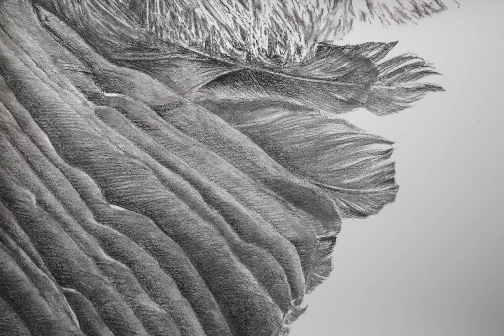 2015_rougegorgedétail1 Emmanuel Wüthrich
