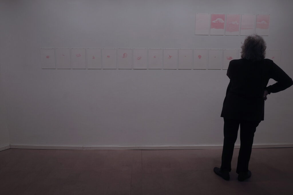 2016y_muséeartmoutiercantonale2016 Emmanuel Wüthrich