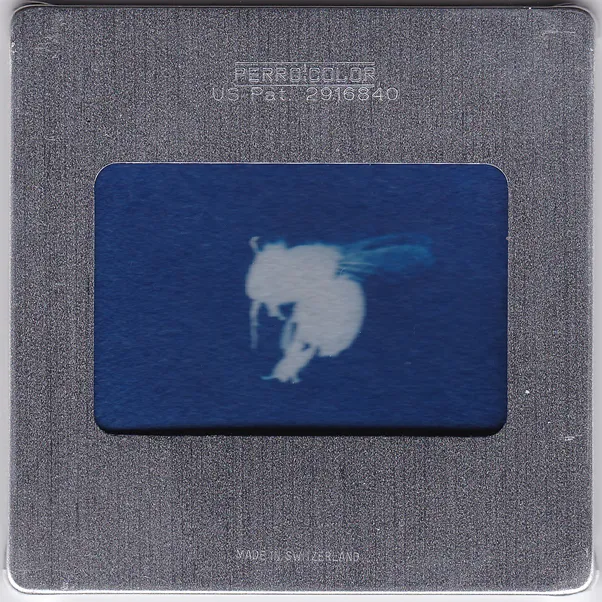 2017_passagère4 Emmanuel Wüthrich