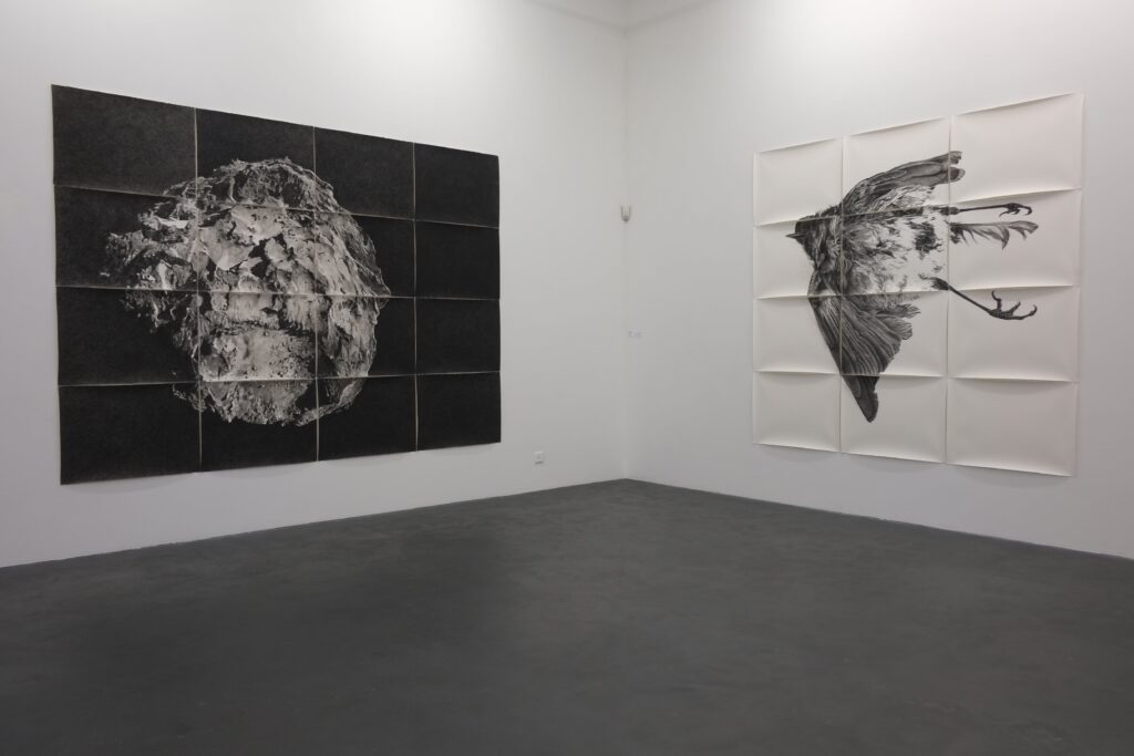 09-emmanuel-wuthrich-calvaire-2015_cometerougegorgeinterlaken - Copie Emmanuel Wüthrich